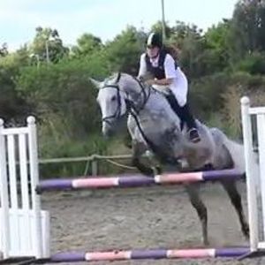 Meet your Posher, Bailey